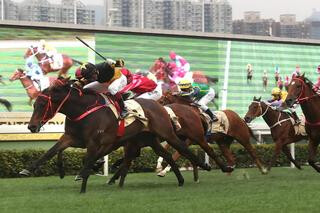 D B Pin was victorious in Sunday’s HK$10 million Group 1 Centenary Sprint Cup (1200m) at Sha Tin. Photo: Hong Kong Jockey Club